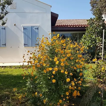Nar Villa Datça