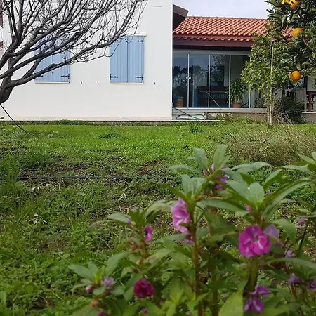 Nar Villa