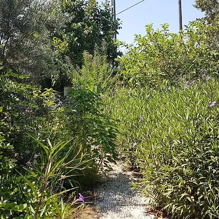 Nar Villa
