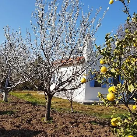 Nar Villa *